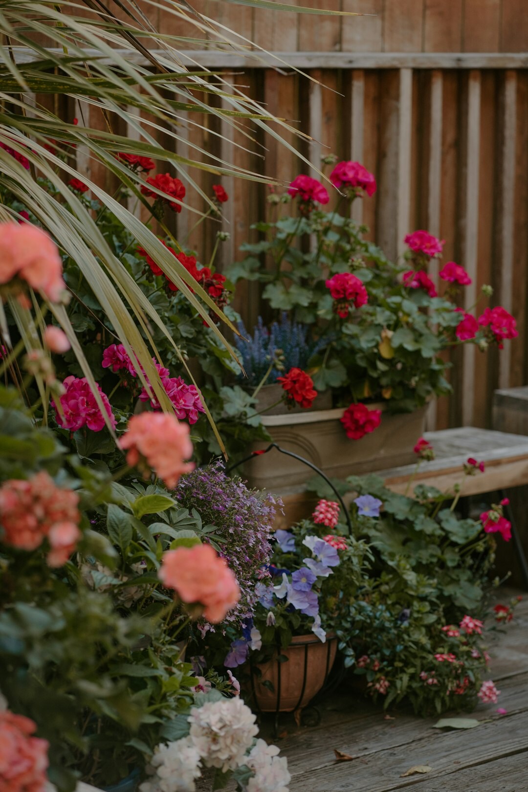 Small backyard patio garden with raised beds and potted plants