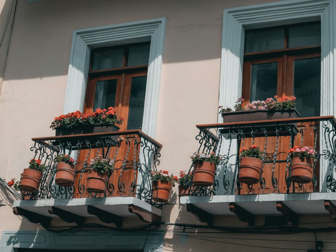 Small apartment balcony with potted plants and flowers overlooking a city
