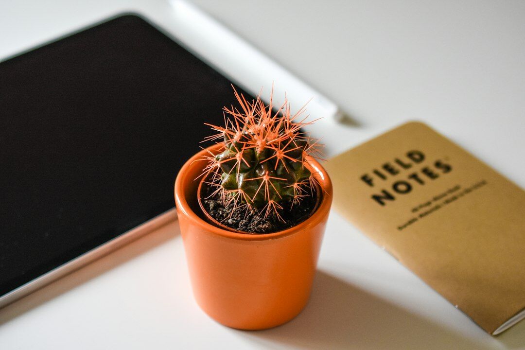 Desk with a notebook, pen and a small potted plant
