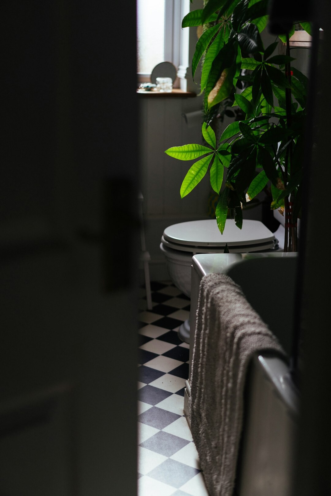 bathroom plants decor