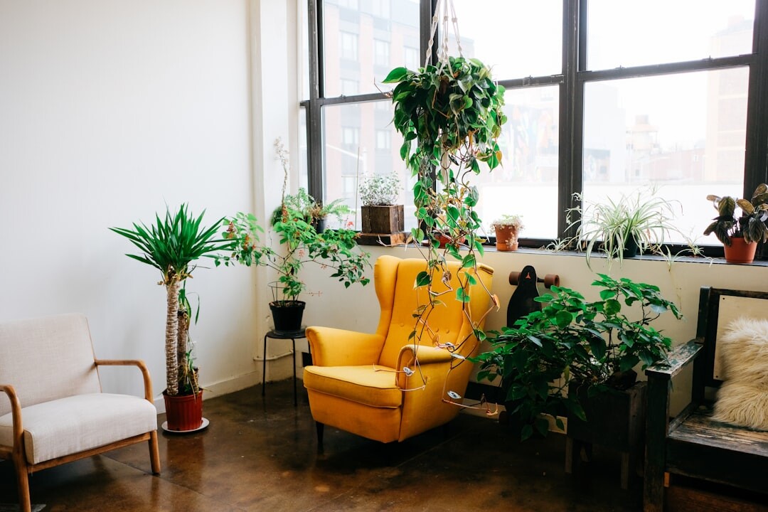 pruning indoor plants