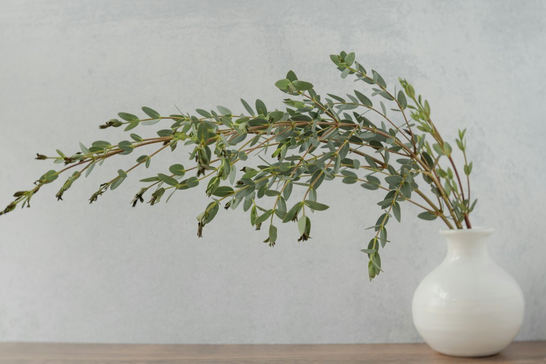 vase with fresh leaves