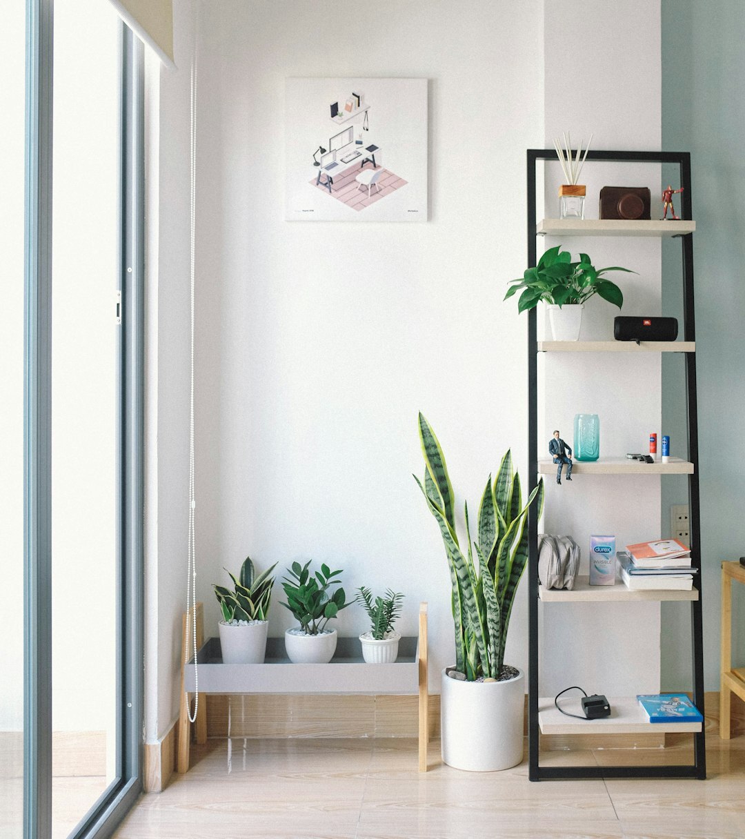 indoor plants on shelf